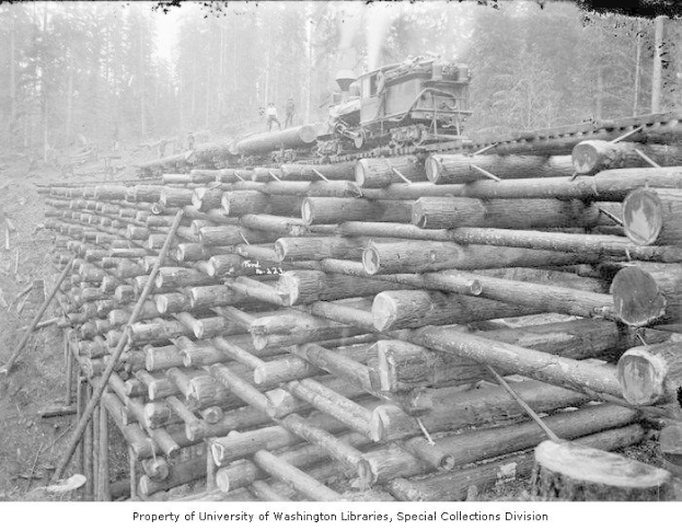Schwarzes und weißes Foto eines Holzfällerlkw neben einem Holzstapel in einem bewaldeten Gebiet, mit mehreren Menschen auf den Holzstämmen und dichtem Wald im Hintergrund.
