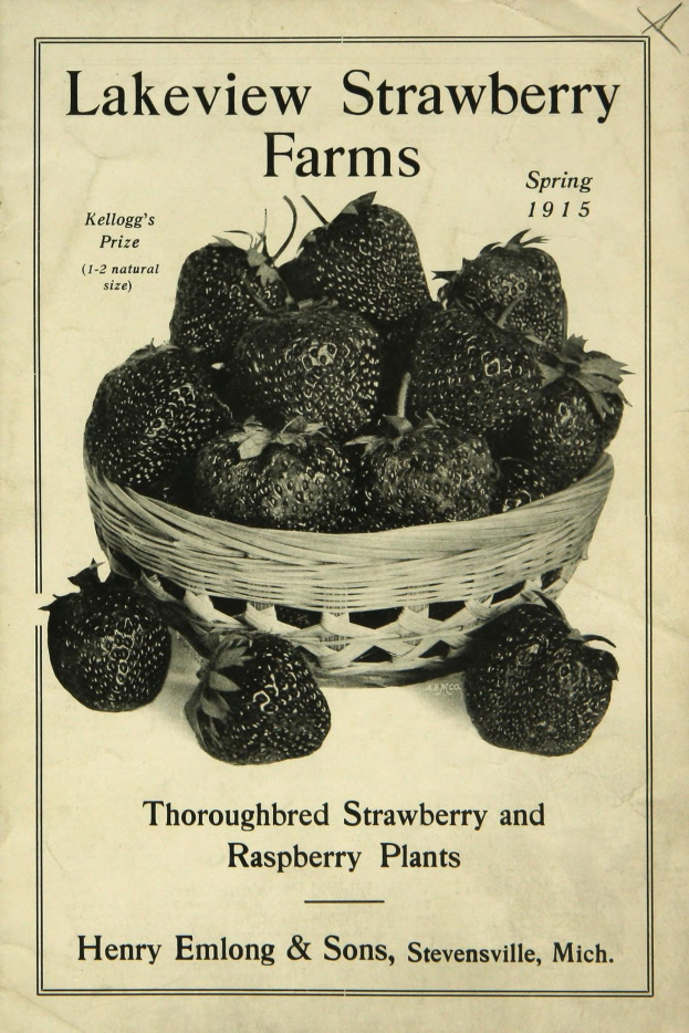 Plakat aus Frühling 1915, das Lakeview Erdbeerfarmen bewirbt, zeigt einen Korb reifer roter Erdbeeren und den Text "Zuchtstämme Erdbeer- und Himbeerplänze."