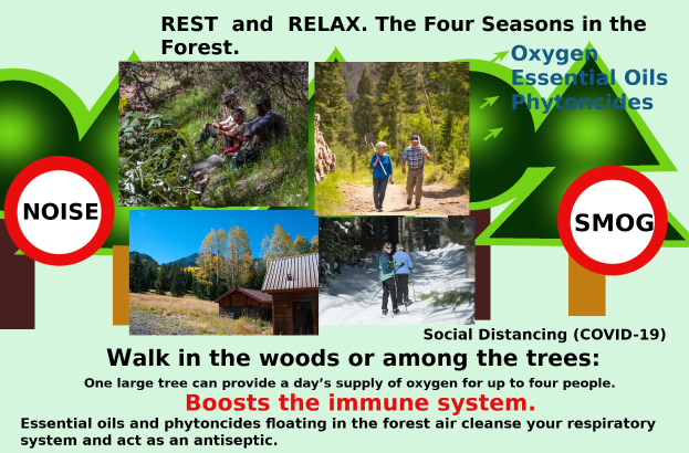 Plakat mit dem Titel "Ruhe und Entspannung in den vier Jahreszeiten im Wald" mit Bildern von Menschen, die durch einen bewaldeten Bereich mit Bäumen und einem Haus gehen und die Entspannung in der Natur fördern.