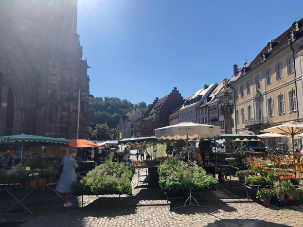 Ein belebter Markt im Heidelberger Altstadt mit Menschen an Tischen sitzend und stehend, die Blumentöpfe und Schirme halten, vor Häusern, Bäumen und einem klaren blauen Himmel.