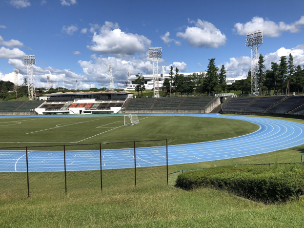 Ein Fußballfeld mit grünem Rasen, Pflanzen und einem umliegenden Zaun, mit Tribünen, Flutlicht, Bäumen, Gebäuden und Türmen im Hintergrund unter einem bewölkten Himmel.