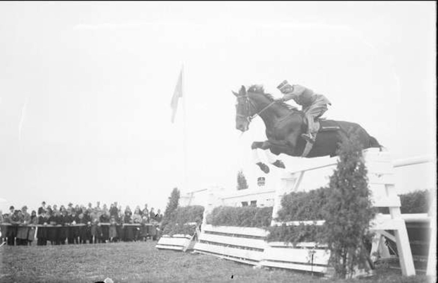 Schwarzes und weißes Foto eines Pferdes und seines Reiters beim Überspringen eines Hindernisses auf den 1953 Royal Ascot Horse Trials, mit Zuschauern, einer Flagge und Grün im Hintergrund.