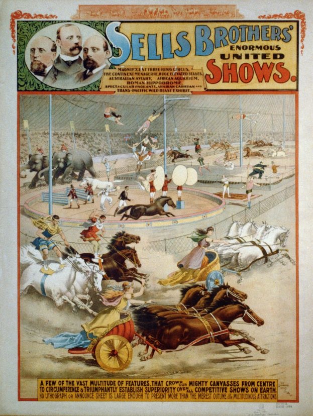 Plakat, das Sell's Brothers' Enormous United Shows bewirbt, zeigt eine Gruppe von Menschen, die auf Pferden in einem Zirkus reiten, mit Text, der das Ereignis beschreibt.
