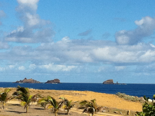 Eine Strandszene mit Palmen, grünem Gras und einem Gewässer unter einem blauen und weißen Himmel, mit entfernten Bergen auf Lanzarote.