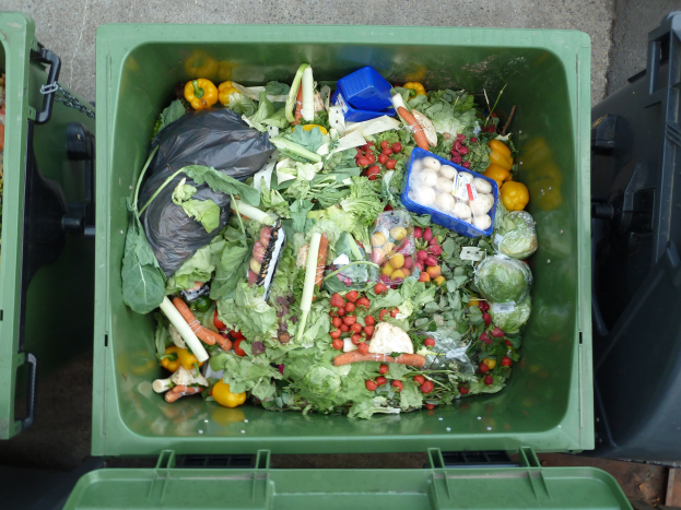 Ein grüner Mülltonne, der mit Karotten, Paprika, Zwiebeln, Tomaten und anderen bunten Gemüse und Früchten überquillt.