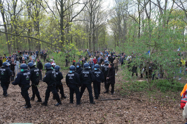 Gruppe von Polizisten in Helmen in einem bewaldeten Gebiet mit Bäumen, Pflanzen, trockenen Blättern auf dem Boden und sichtbarem Himmel.