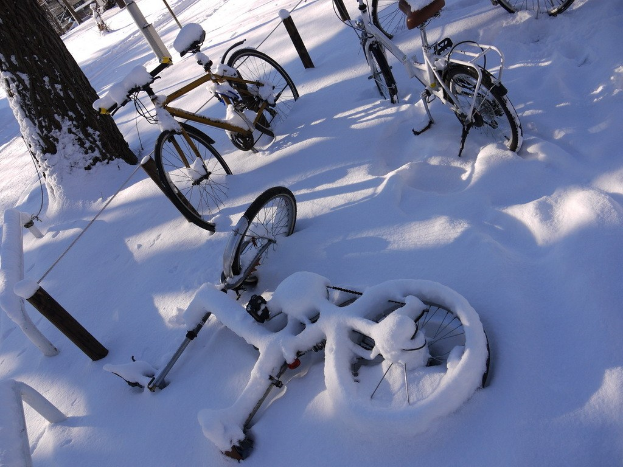 Eine Reihe von Fahrrädern, teilweise von Schnee bedeckt, neben einem Baumstamm neben einer Straße geparkt.