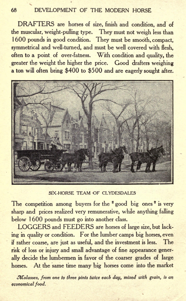 Ein altes Buch mit einer Abbildung eines Pferdewagens im Vordergrund, umgeben von Bäumen und Gebäuden, mit sichtbarem Text auf den Seiten.