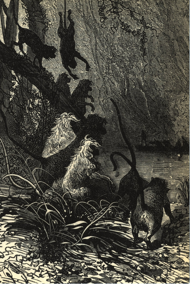 Alte Werbeplakat mit einem Löwenkopf mit grimmiger Miene und wallender Mähne, mittig mit dem Text 'Löwe'.