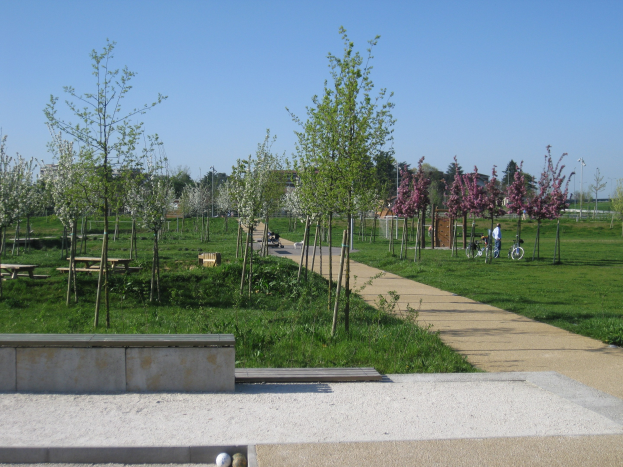 Ein Park mit einem gewundenen Pfad, gesäumt von Bäumen und Bänken, mit Fahrradfahrern, Gebäuden im Hintergrund und einem klaren blauen Himmel über saftig grünem Gras.